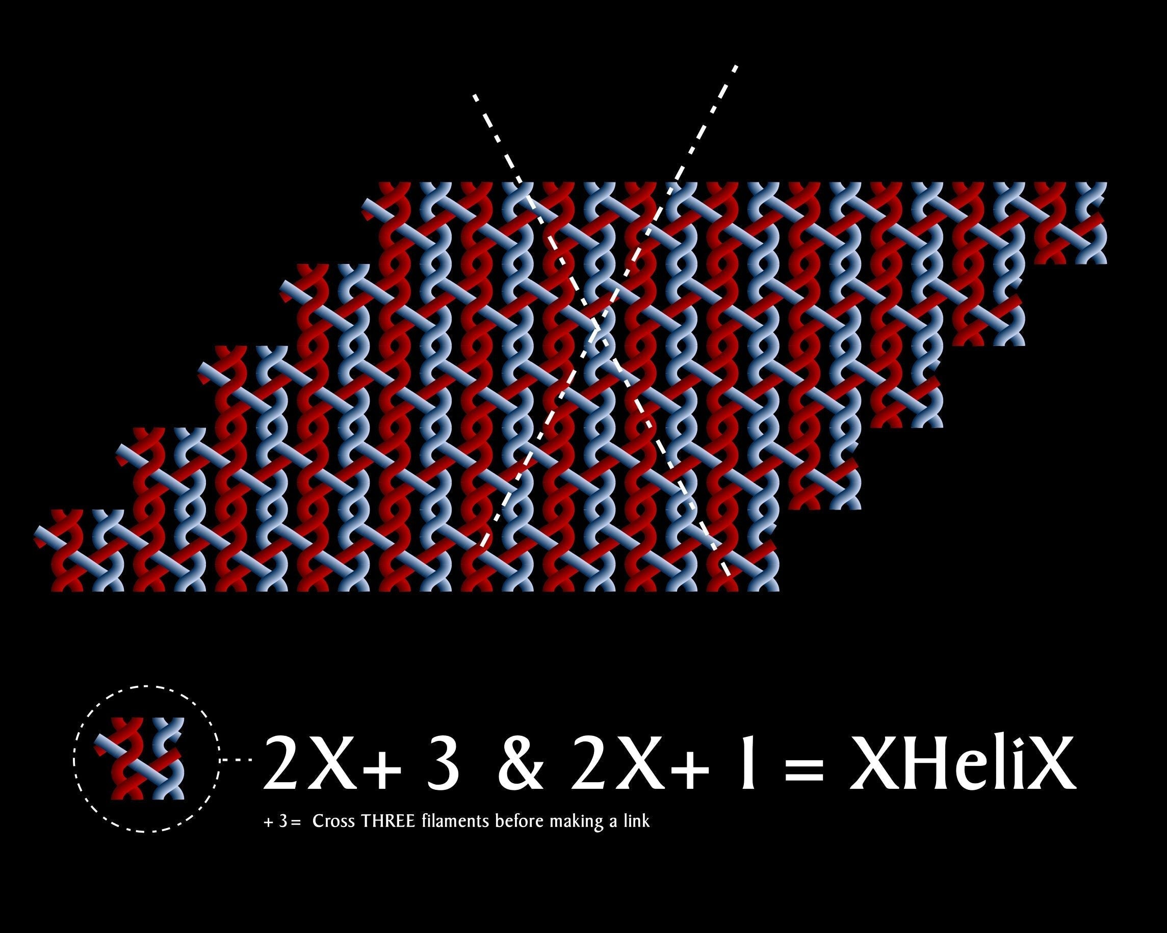 XHeliX and the Patterned Plexus of Filaments – Tensengral