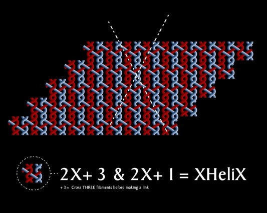 XHeliX and the Patterned Plexus of Filaments