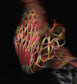 3D ALX