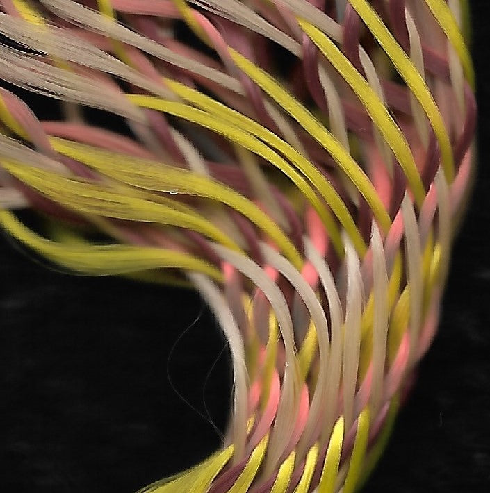 3D ALX