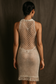 Turtle Tube Dress (2023)