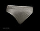 2019 Underpants Elastic Experiments