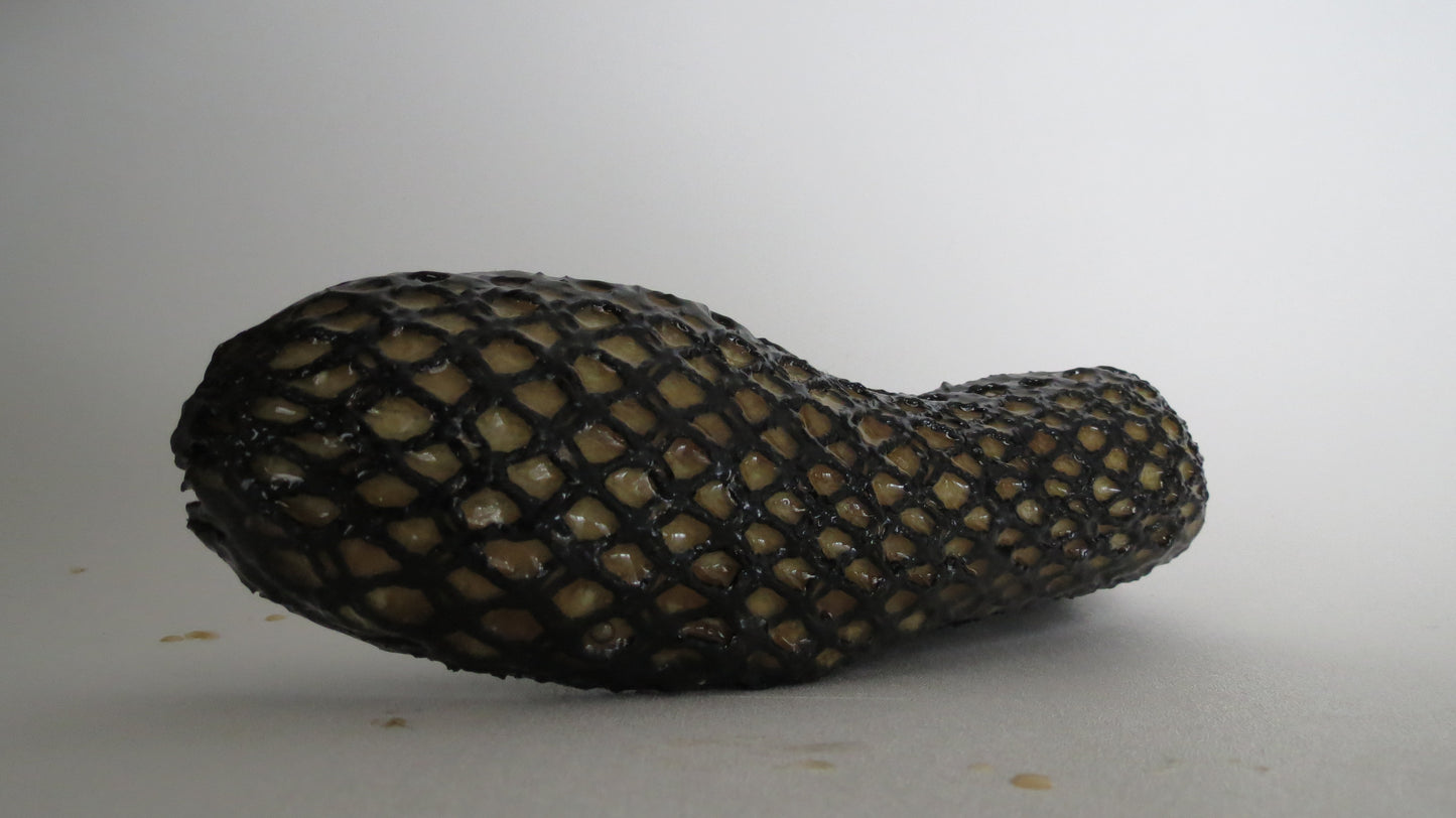 Footwear with Patterned Composite Sole