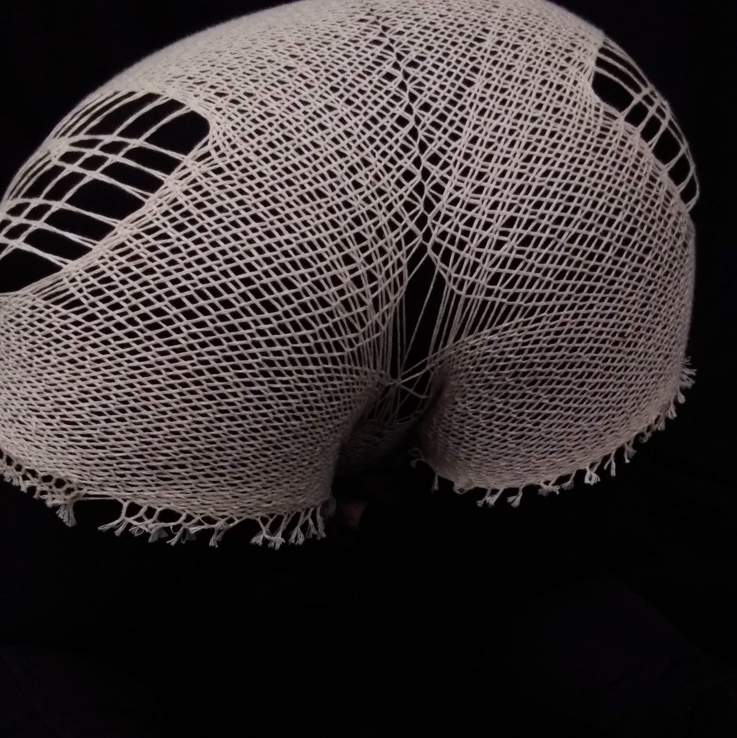 2022 Shorts and Sports Bralette