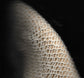 Footwear Fabric Studies